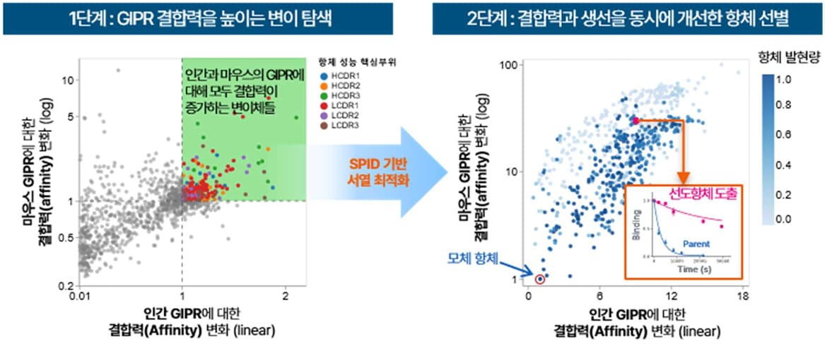 프로티나, ADA서 비만치료제 전임상 데이터 공개