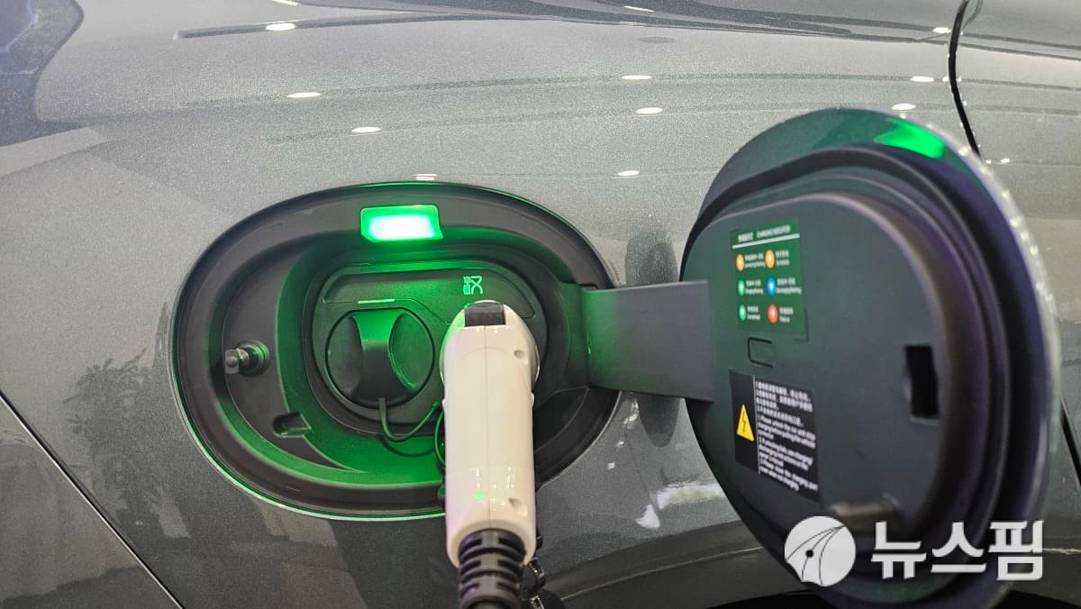BYD, 해외 매출 비중 50% 돌파