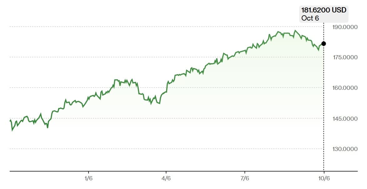 뱅가드 VFMF, S&P500 크게 상회