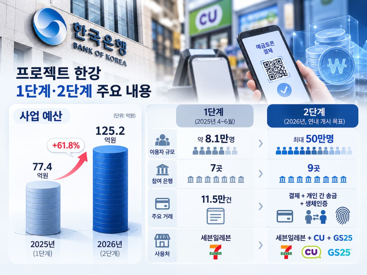 국감서 디지털화폐 필요성 논란