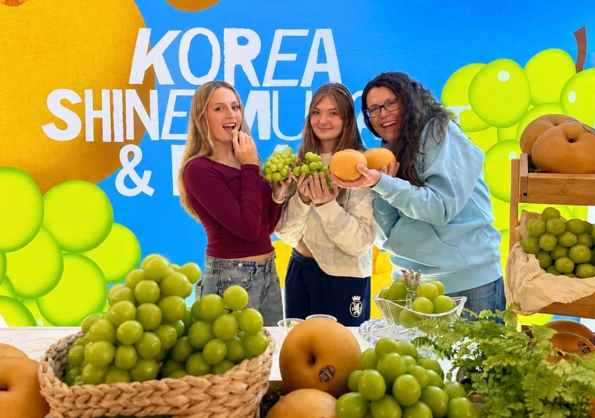 aT, 뉴욕서 한국산 과일 팝업 운영