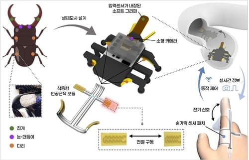 KAIST, 칼텍·NTU와 소프트로봇 '비틀봇' 개발