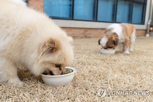 펫푸드 무역적자 5년간 1조3천억원