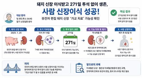 돼지 신장 이식 후 271일 투석 없이 생존
