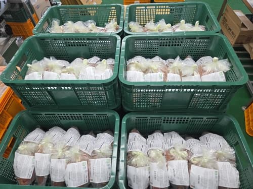 전남광주 김치, 미국 수출 후 영국 진출
