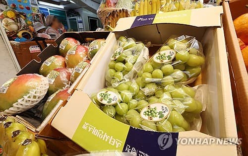 샤인머스캣, 재배면적 감소에도 가격 20% 하락