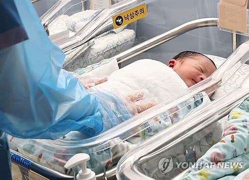 출생아 6.8% 증가에 분유 매출 13% 반등