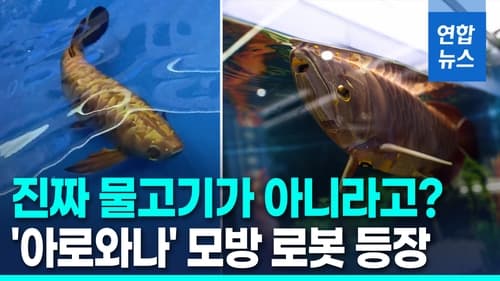 아로와나 모방 로봇 물고기 BG-5, 정찰·감시 활용 기대
