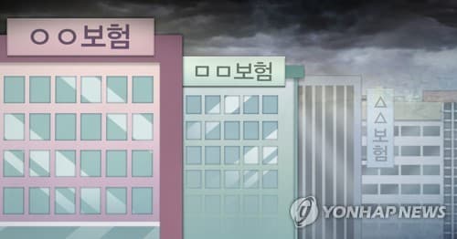 미 금리 동결 가능성에 보험주 급락