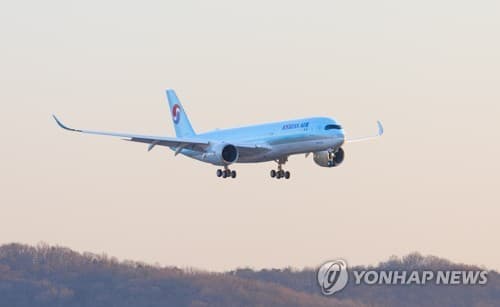 대한항공 다낭행 여객기, 엔진 이상에 회항