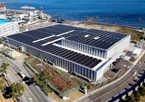부산 스마트양식, 전국 최초 대서양 연어 출하